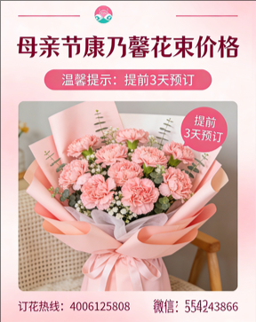 牡丹江穆棱市花店母亲节康乃馨花束