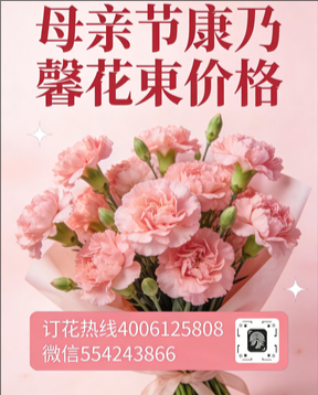 牡丹江穆棱市花店母亲节康乃馨花束